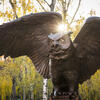 Owl statue