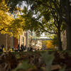 Fall Liacouras Walk