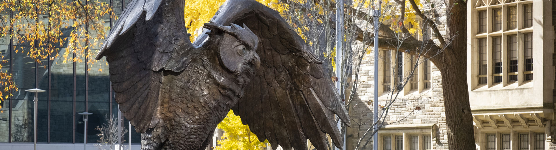 Owl statue on campus