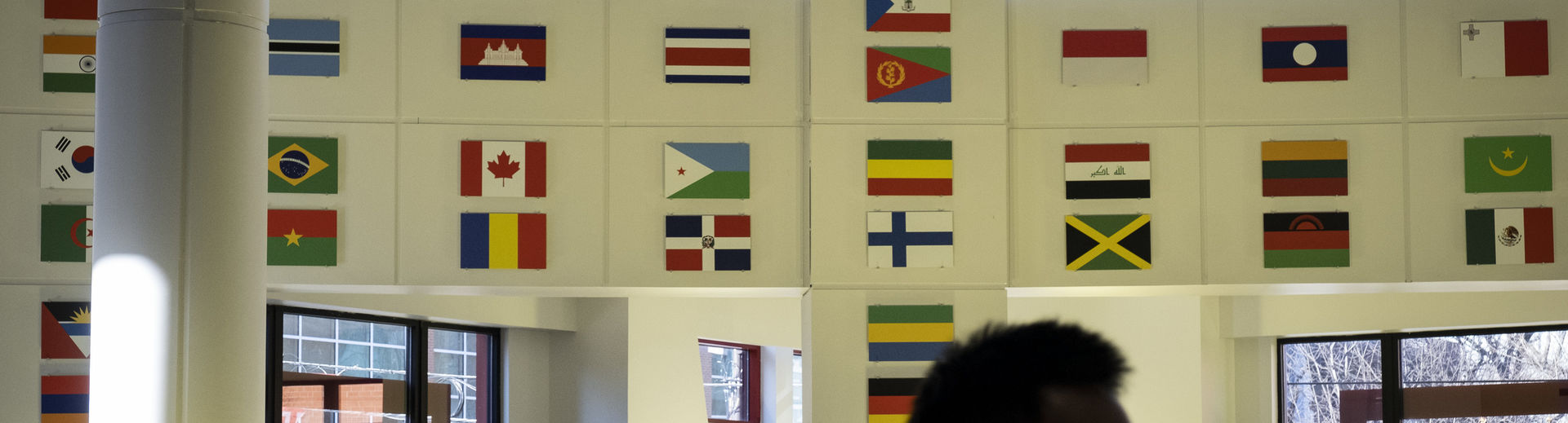 International flags in the student center